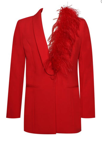 Feather Trim Blazer